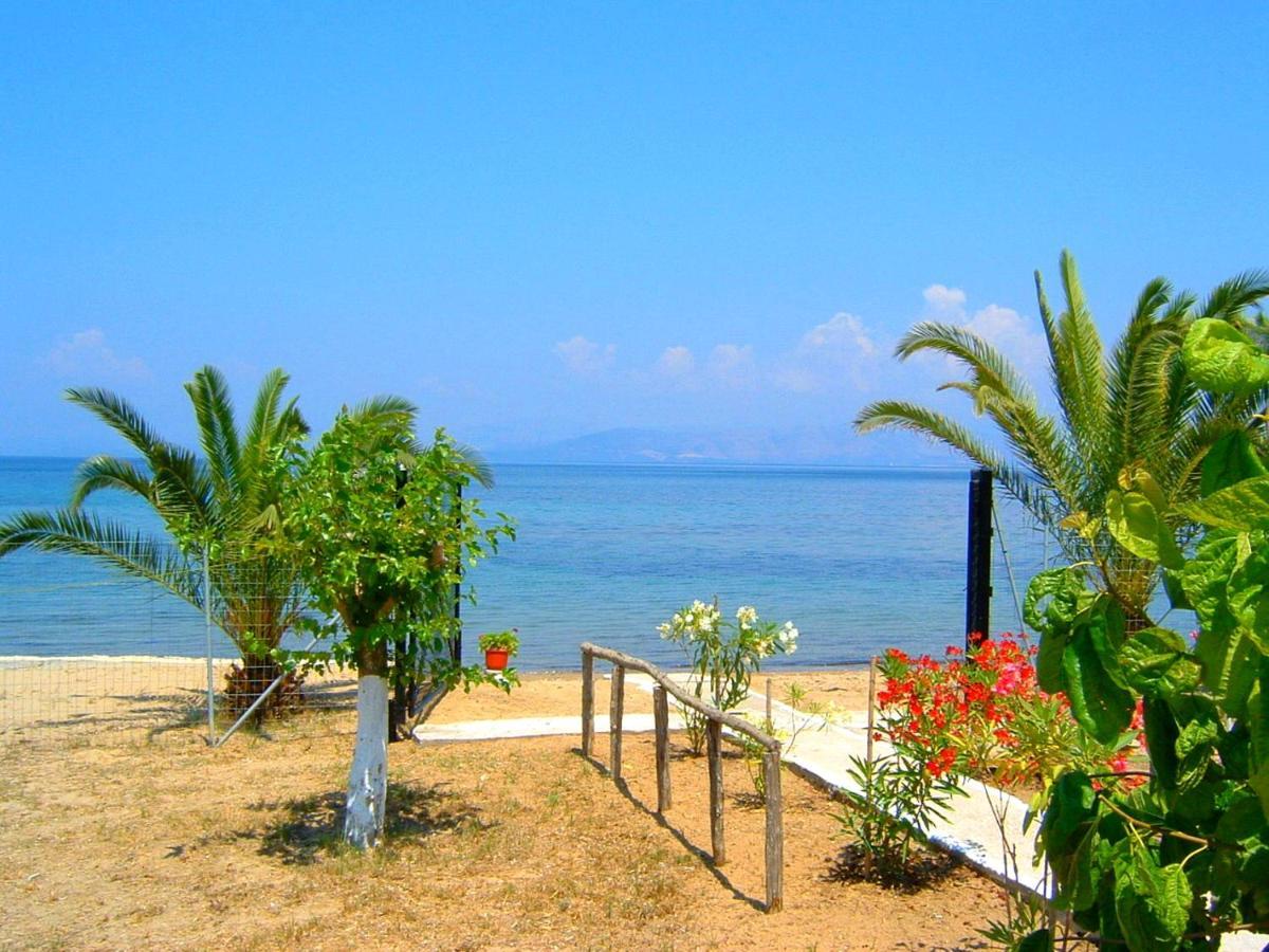 Ionio Apartments Λευκίμμη Εξωτερικό φωτογραφία