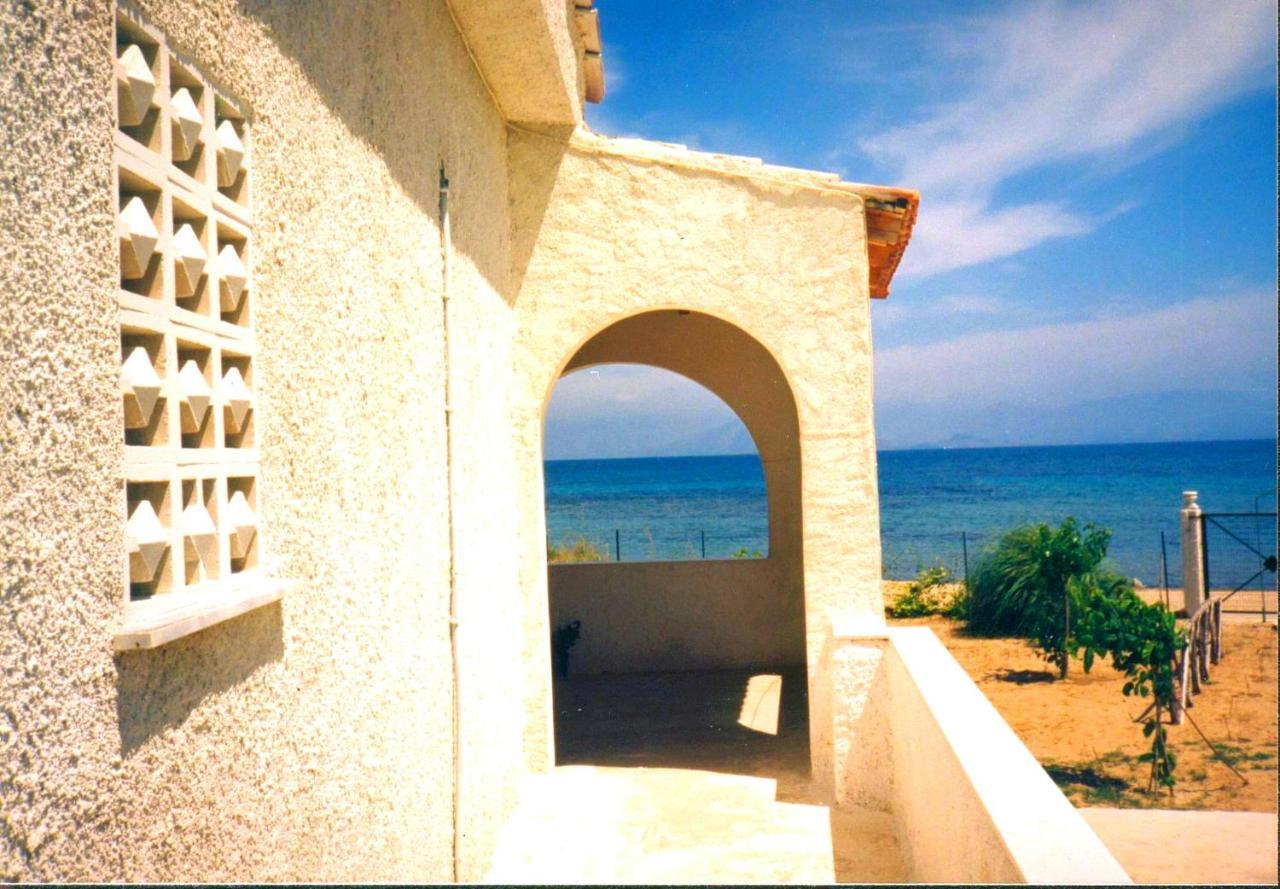 Ionio Apartments Λευκίμμη Εξωτερικό φωτογραφία