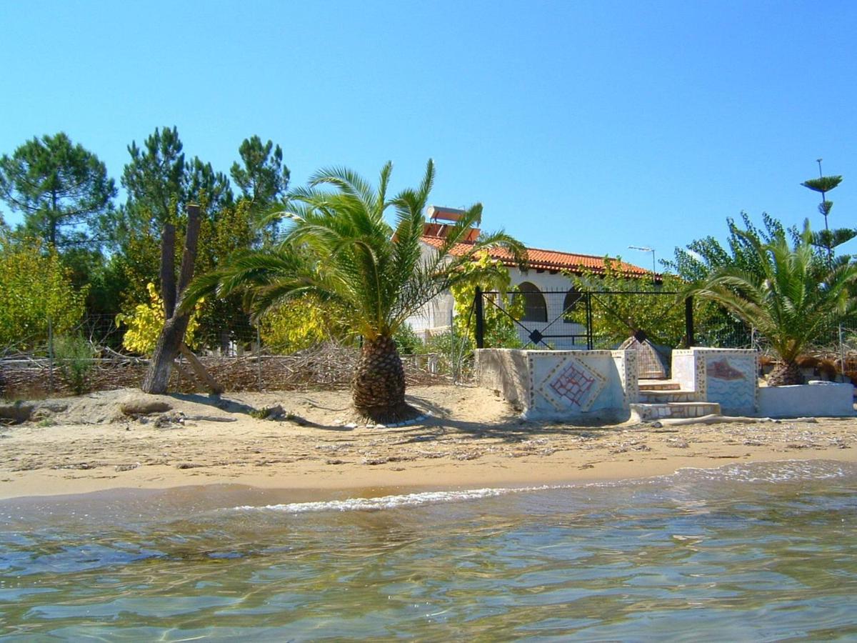 Ionio Apartments Λευκίμμη Εξωτερικό φωτογραφία