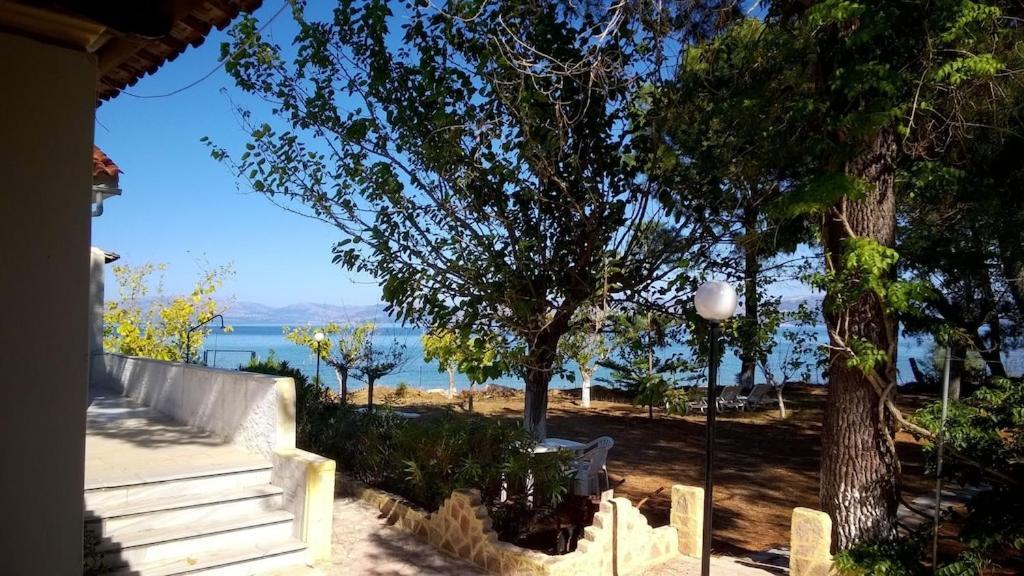 Ionio Apartments Λευκίμμη Εξωτερικό φωτογραφία