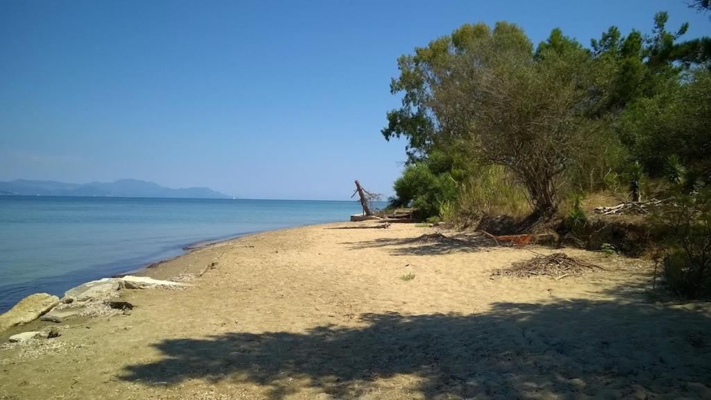 Ionio Apartments Λευκίμμη Εξωτερικό φωτογραφία