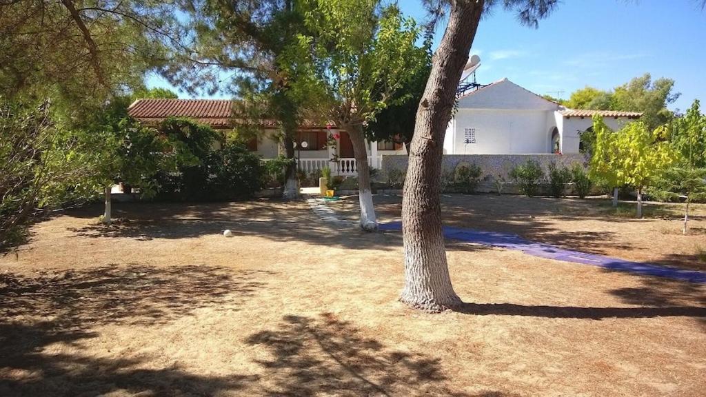 Ionio Apartments Λευκίμμη Εξωτερικό φωτογραφία