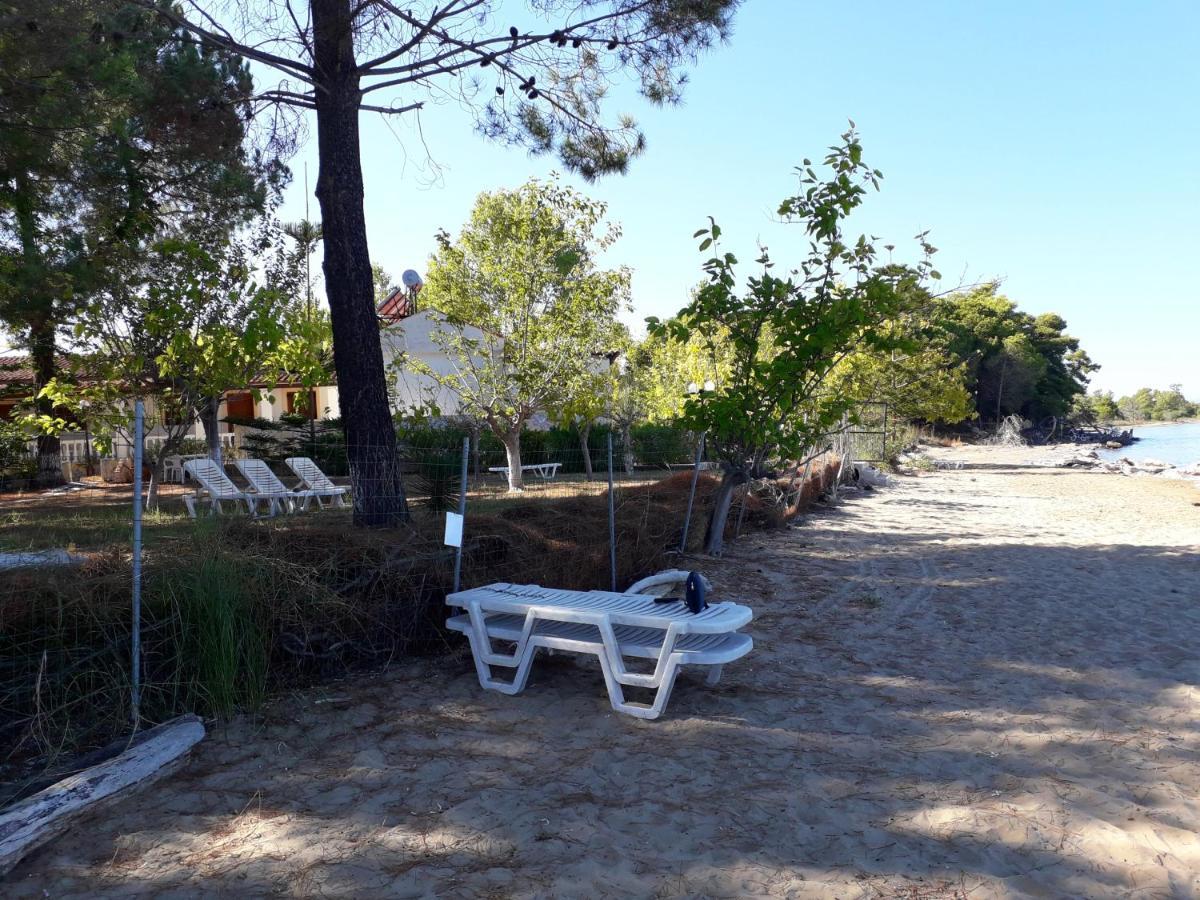 Ionio Apartments Λευκίμμη Εξωτερικό φωτογραφία