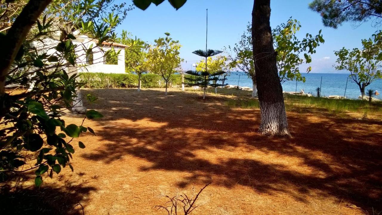Ionio Apartments Λευκίμμη Εξωτερικό φωτογραφία