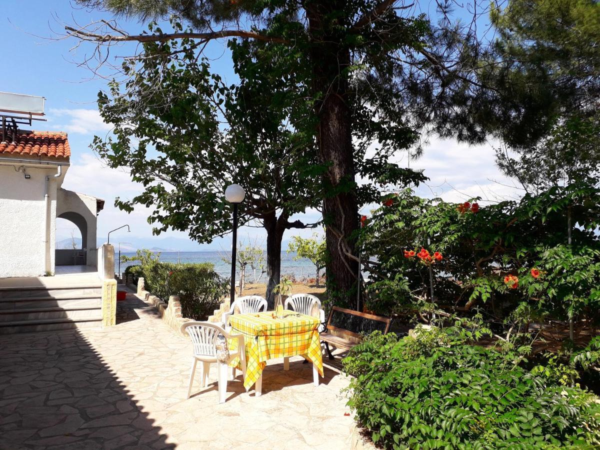 Ionio Apartments Λευκίμμη Εξωτερικό φωτογραφία