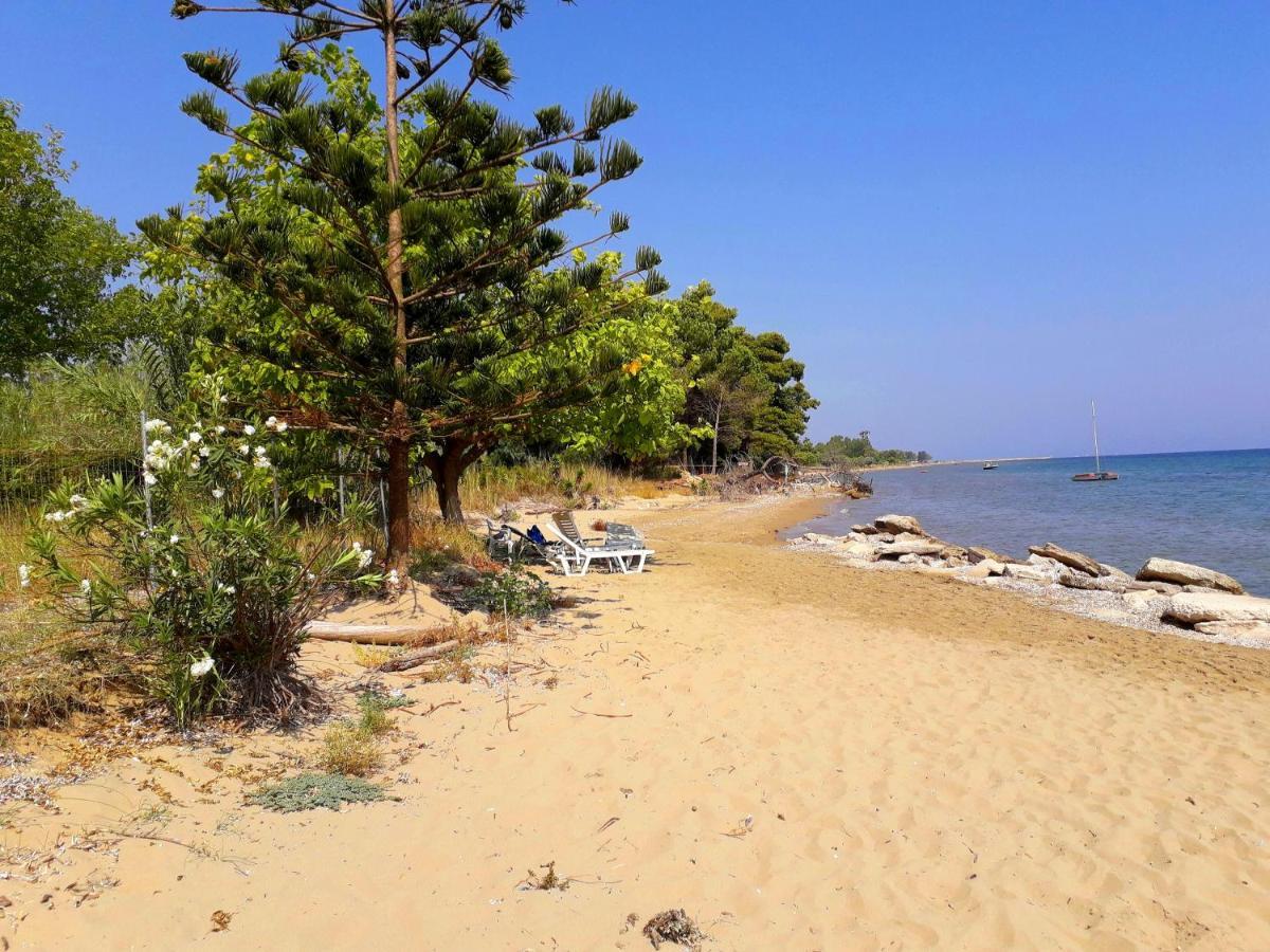 Ionio Apartments Λευκίμμη Εξωτερικό φωτογραφία