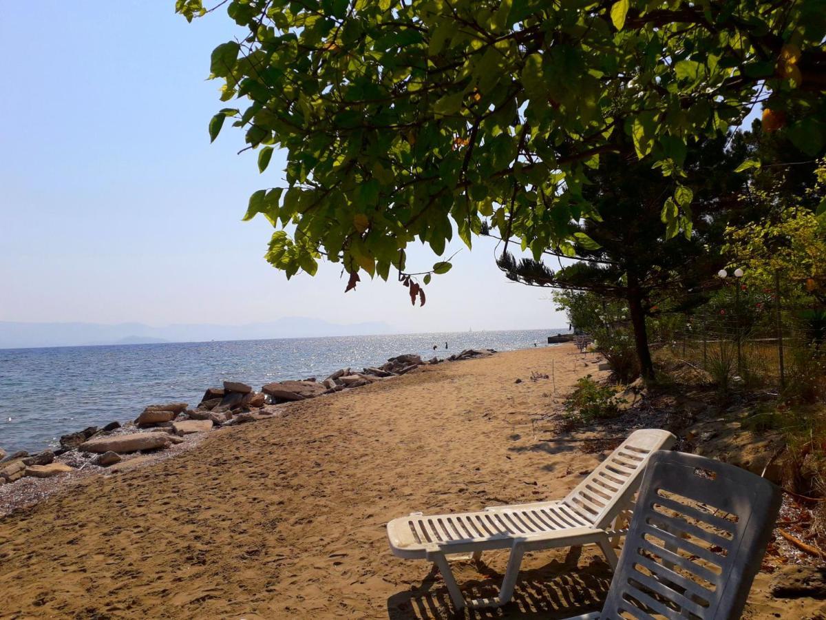 Ionio Apartments Λευκίμμη Εξωτερικό φωτογραφία