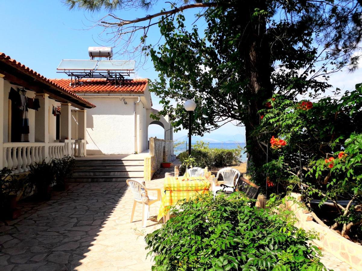 Ionio Apartments Λευκίμμη Εξωτερικό φωτογραφία