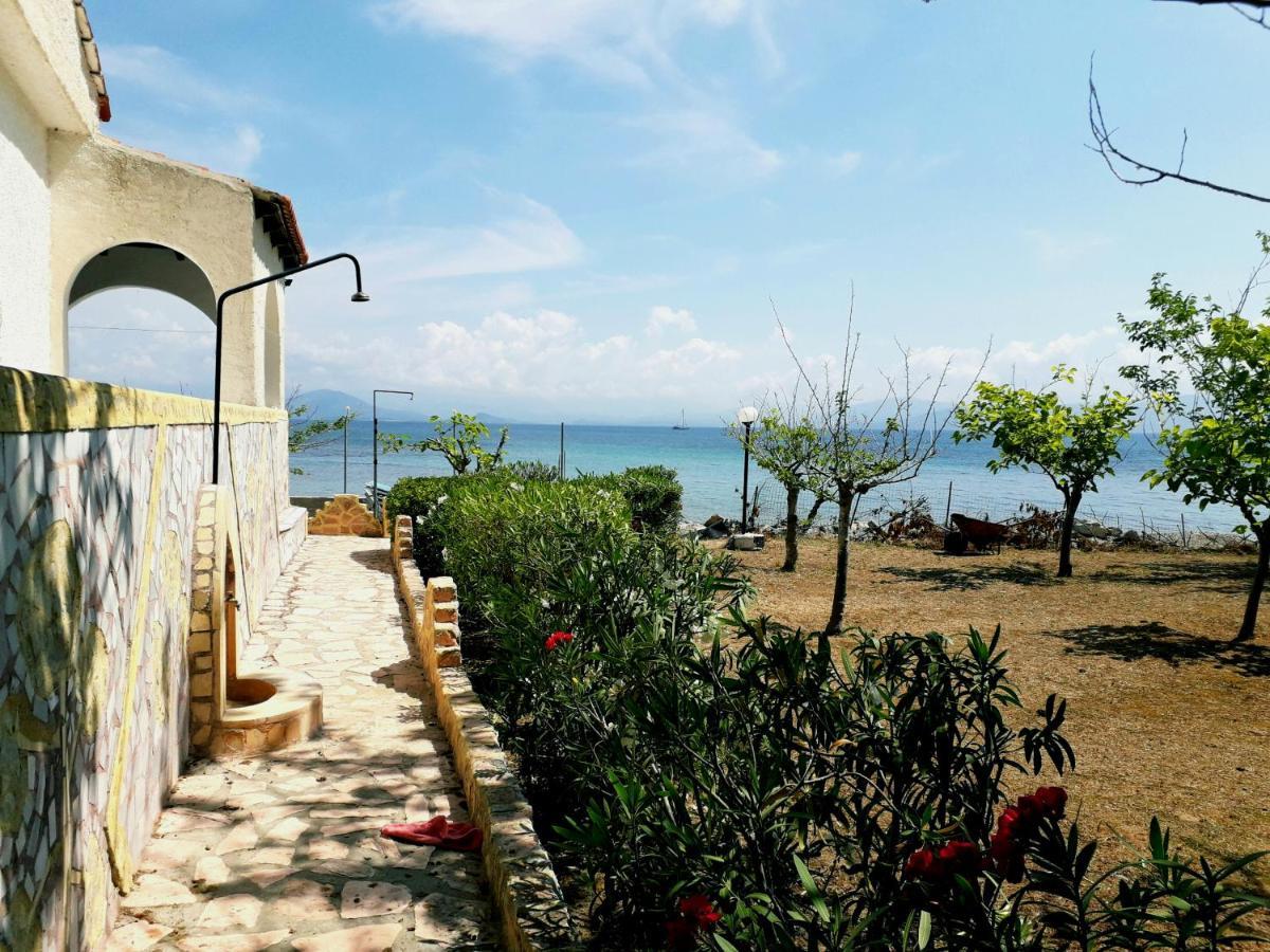 Ionio Apartments Λευκίμμη Εξωτερικό φωτογραφία